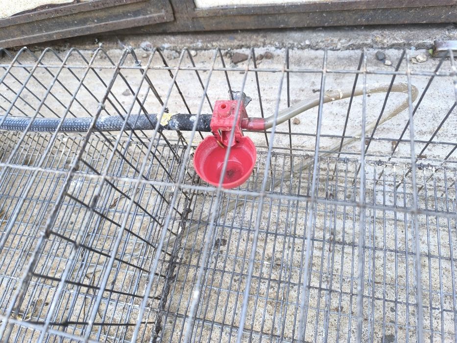 Vând cușcă prepelițe