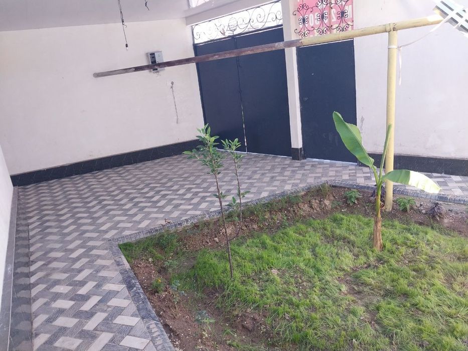 2, 3сохли ховли зудлик билан сотилади 66000$