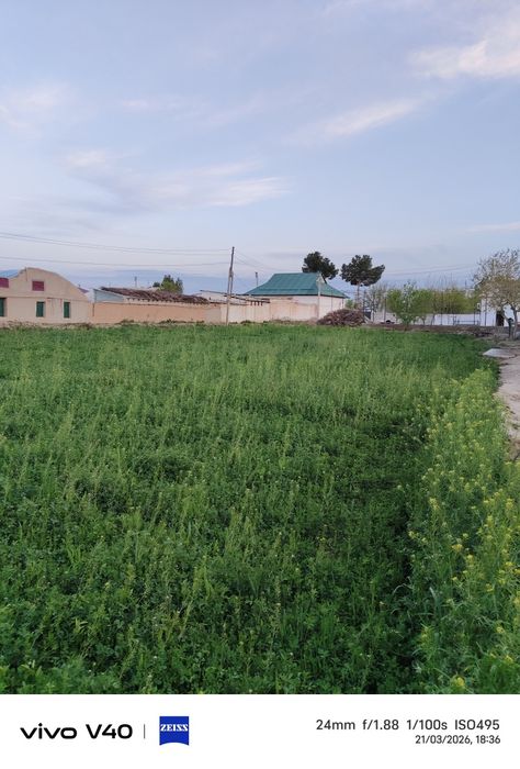 Hamma sharoiti bor Yer