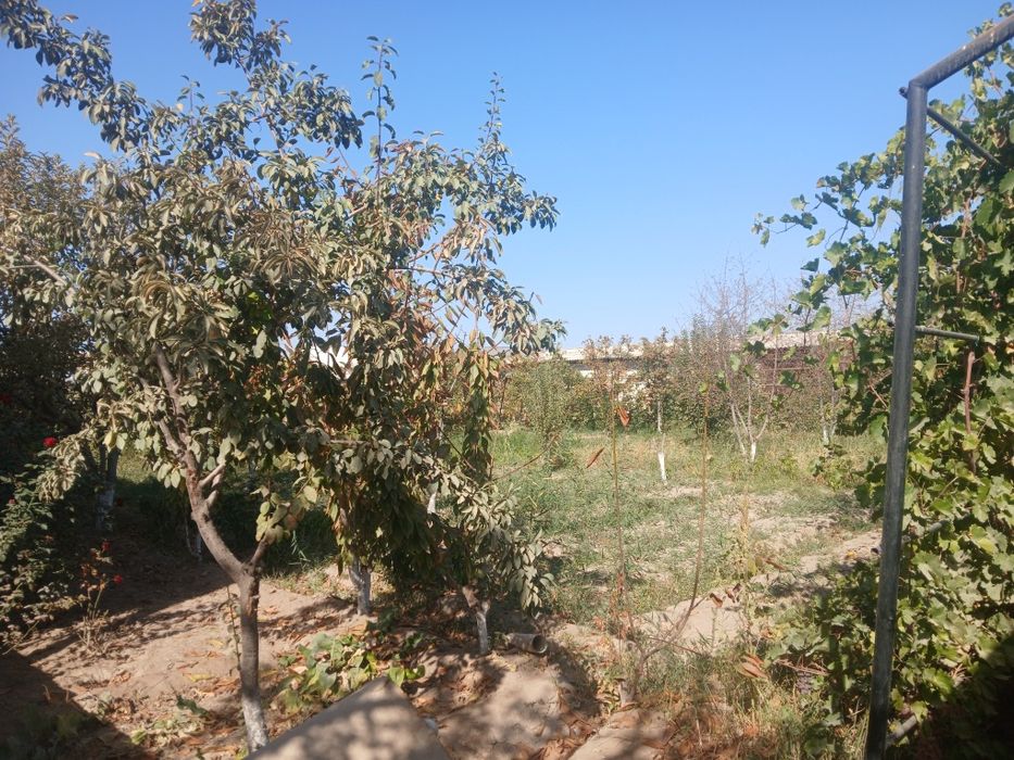 Янгиарик туман Вакиллар МФЙ да жойлашган 30 сотих ховли жой хамда