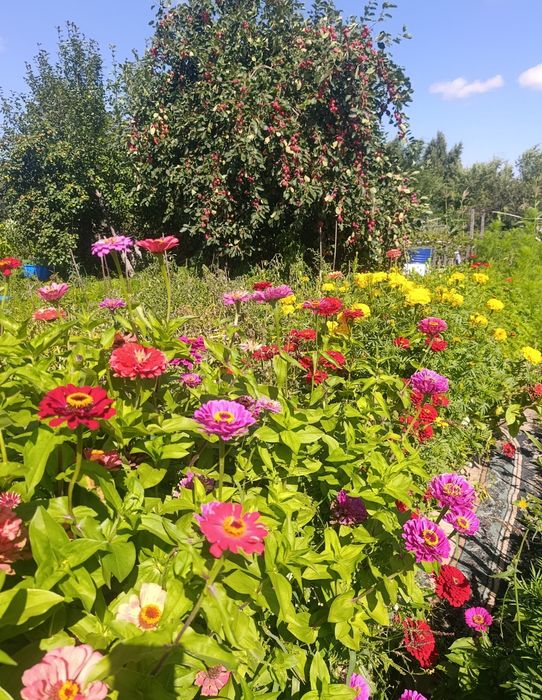 Продам дачу на правом берегу