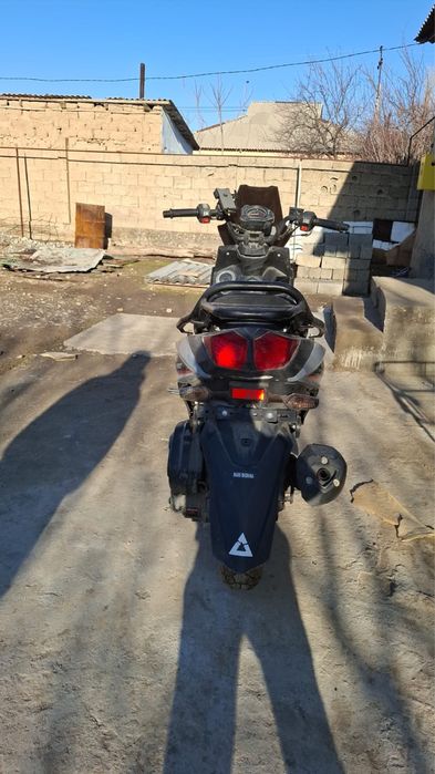 Самурай беннали 180куб