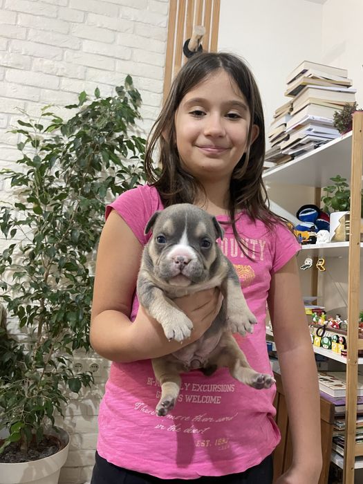 ТОП Реални ПОКЕТ Американско були / Трицветни