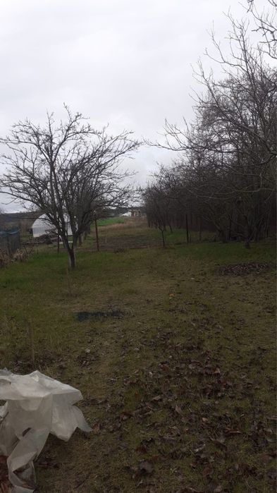 Casa cu teren Balotesti, IF, negociabil