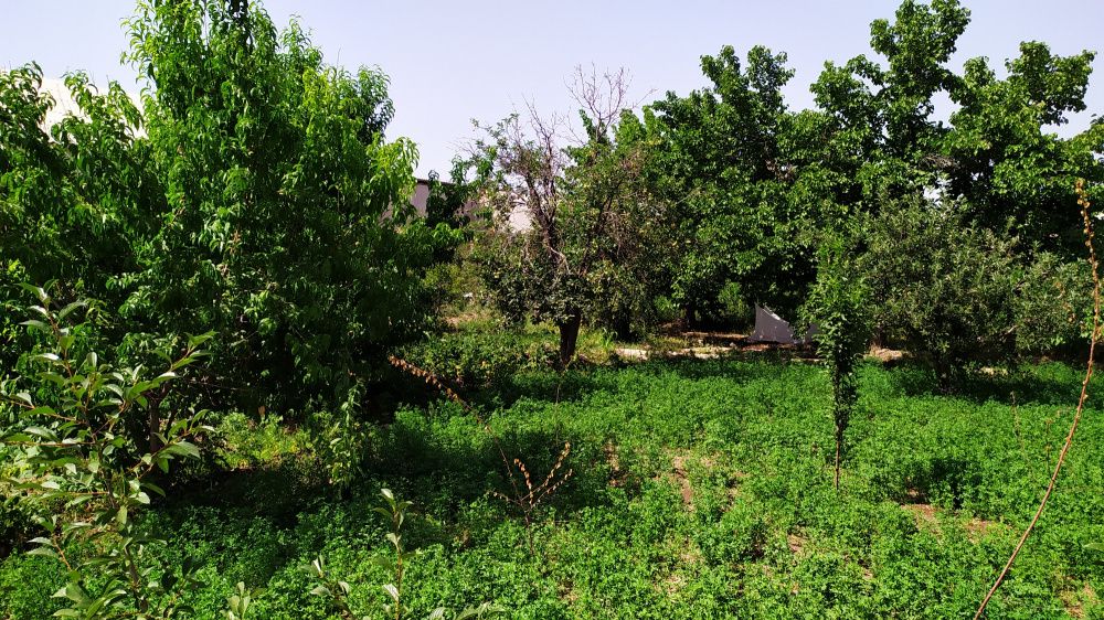 Урганч тумани Галаба 8-км да 1300 м2