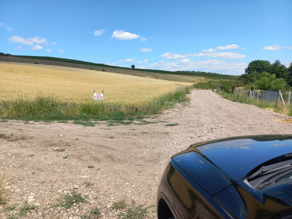 1,7 ha de teren, expunere sud,  pentru casă în livadă