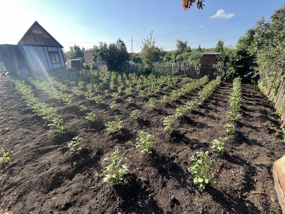 Продам дачу с/о ромашка 4,7 соток