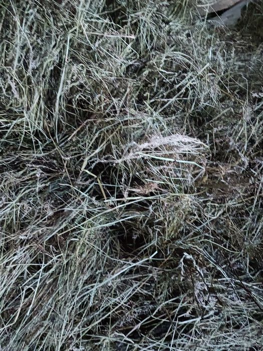 Baloți rotunzi de fan