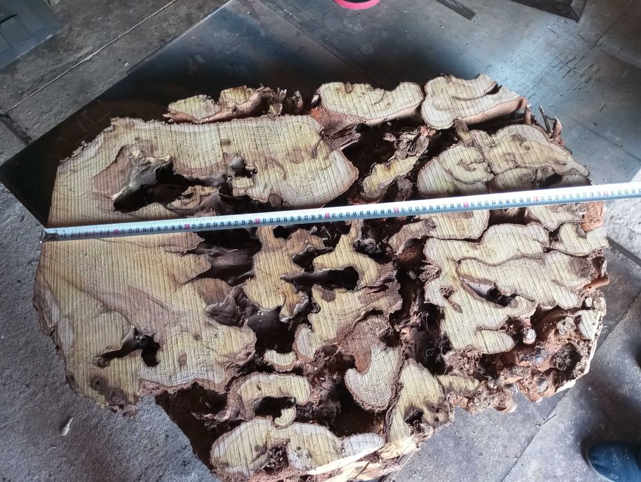 Дървени шайби с тумори