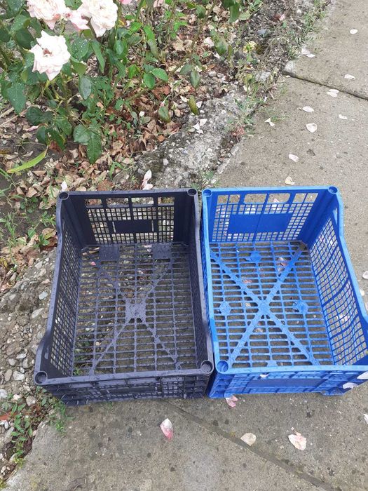 Vând lădițe din plastic