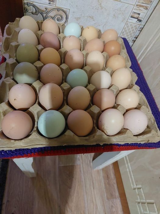 Яйца домашние свежие