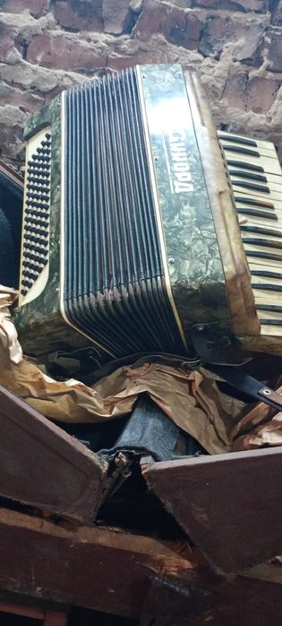 Аккардион в чемодане