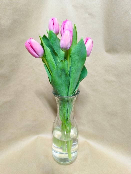 Тюльпаны ОПТОМ Костанай