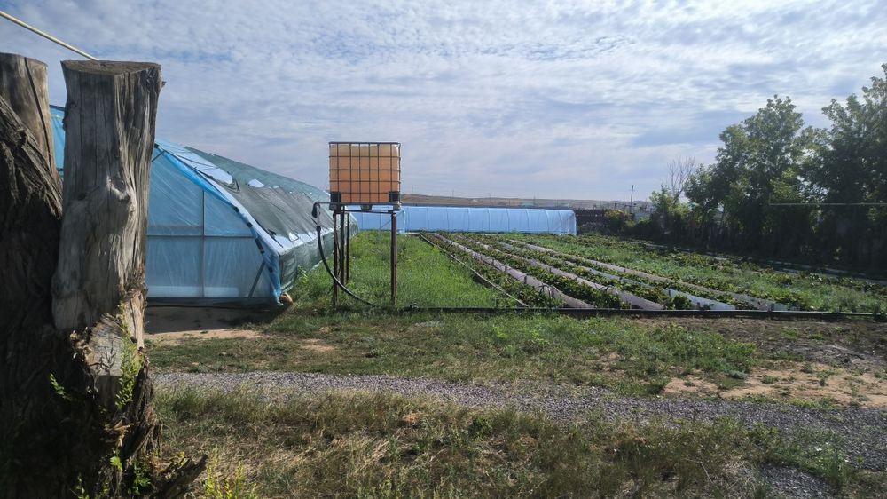 Продается ЛПХ с базой и теплицами.