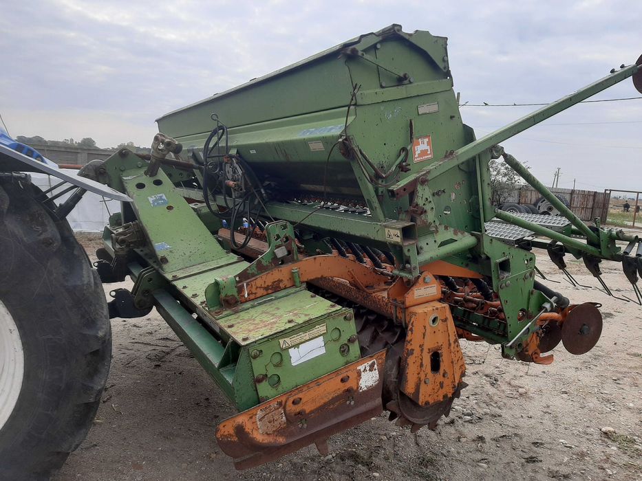 Semanatoare Amazone Paioase 4 m