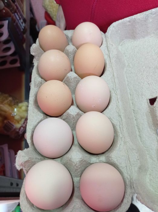 Ouă de consum și de incubat