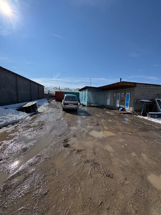 Дайын жылыжай бизнесі сатылады!