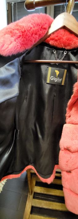 Haina blana rex chinchila