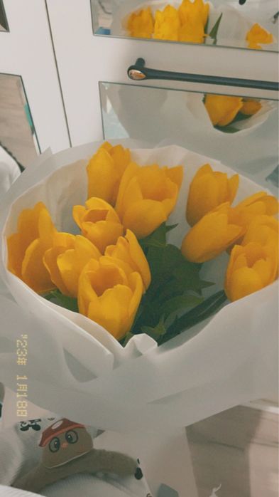 Свержый гул бугин келди