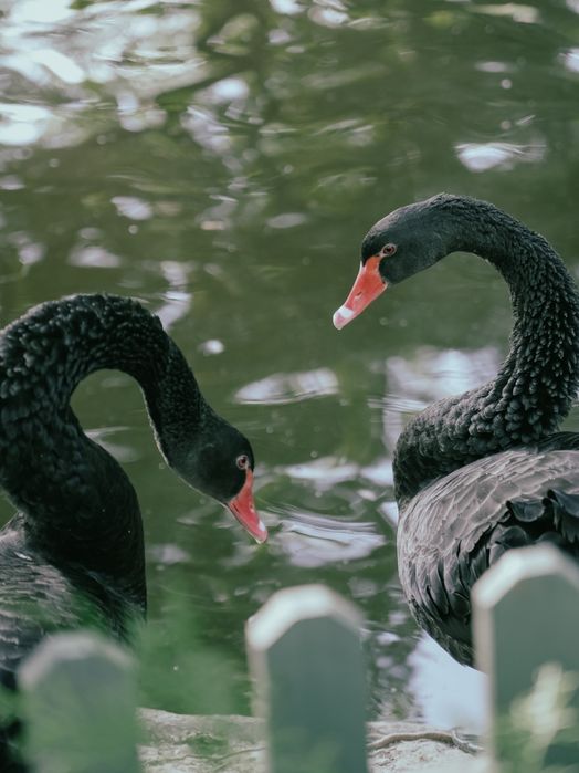 Профессиональный фотограф и видеограф на ваше мероприятие