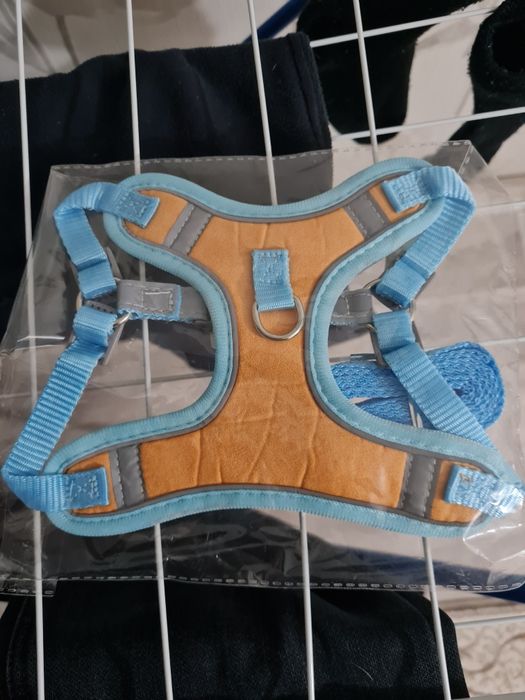 Шлейка для собак