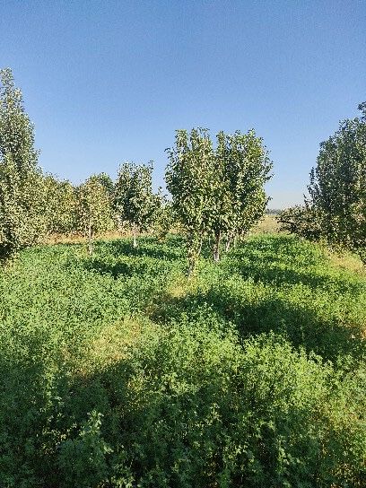 Ер участка арзон нархда сотилади сотиги 2700