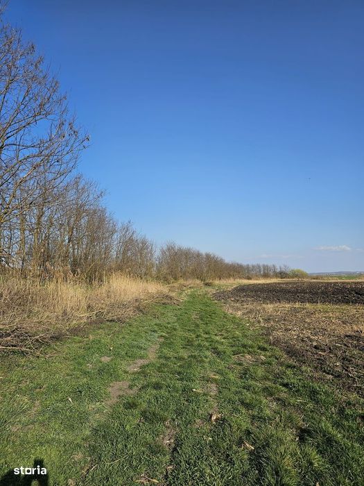 Teren extravilan pentru balastiera Biharia