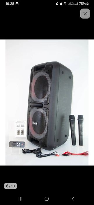 Колонка eltronic