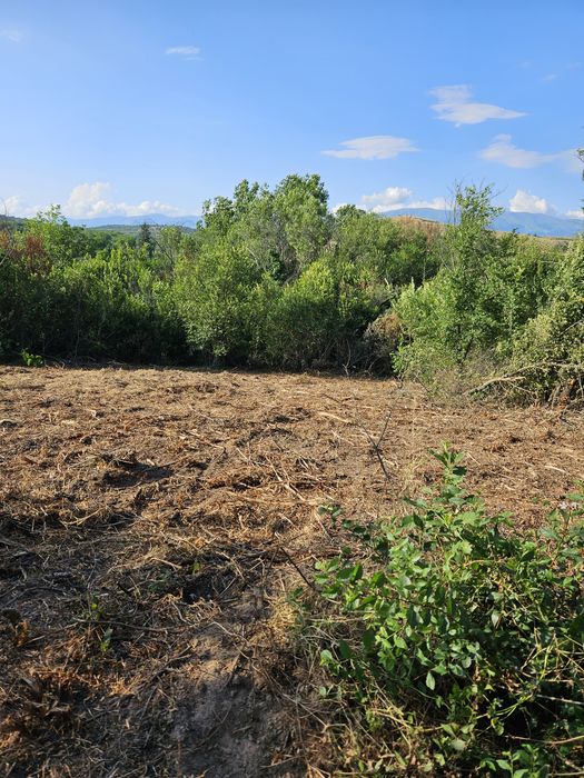 Продава се Парцел в с. Михилци, Област Пловдив - 1000 кв.м за 8 €/кв.м - Снимка #1