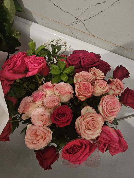 Продам цветы  свежие