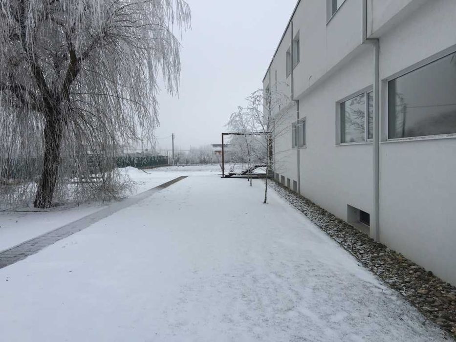 Dau in chirie  220 + 200 mp (parter + demisol), cladire Feleacu + hala