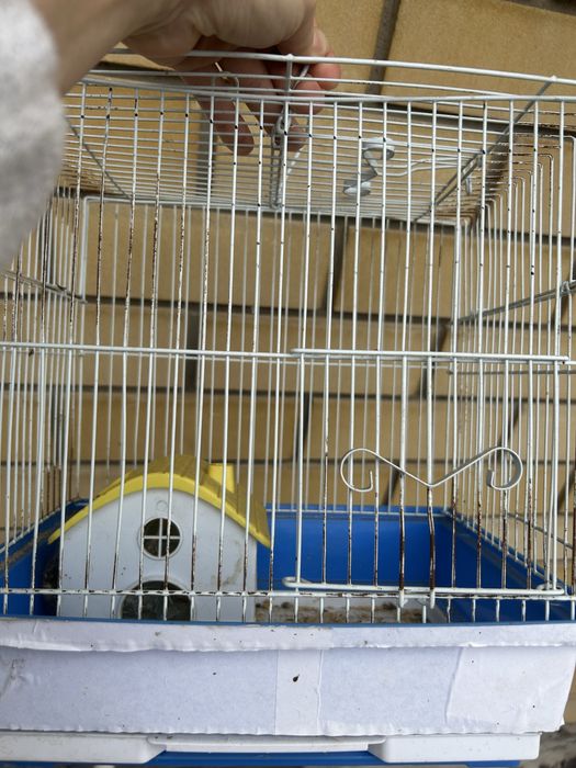 Клетки для попугая и хомяка