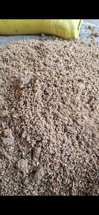 Товуклар ва молар