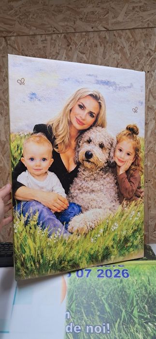 Tablou panza tablou canvas cadou