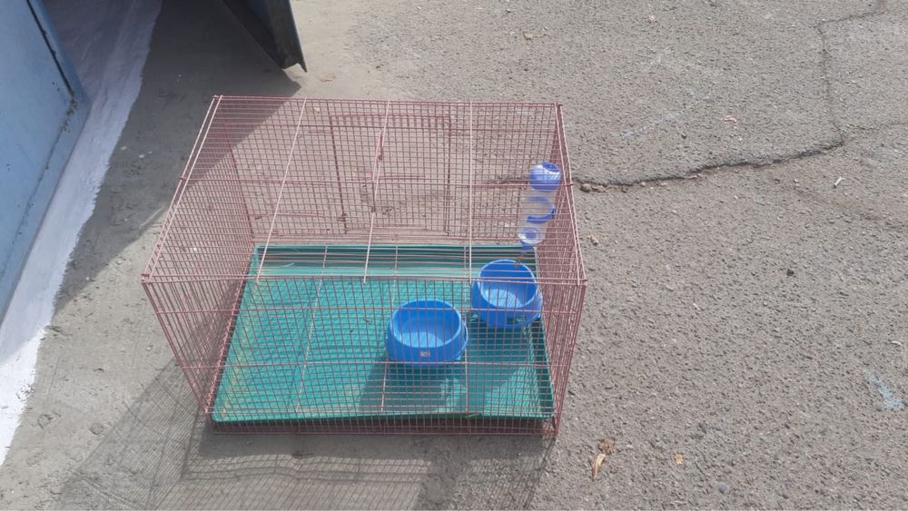 Клетки бу для домашних питомцев и попугаев