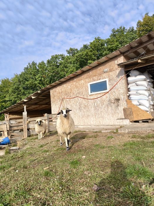 Multe detalii la numărul de telefon