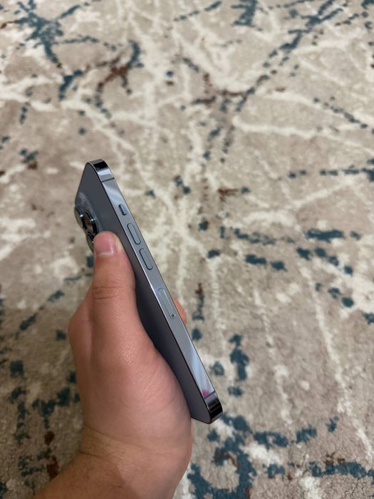 iPhone13 pro 256gb 100%