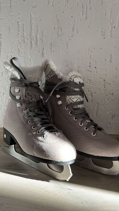 Коньки…………………………