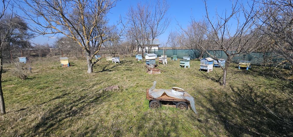 Пчелни кошери 17 броя