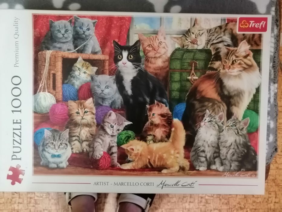 Пъзели редени от нови