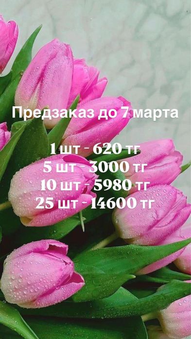 Цветы крупные красивые тюльпаны к празднику