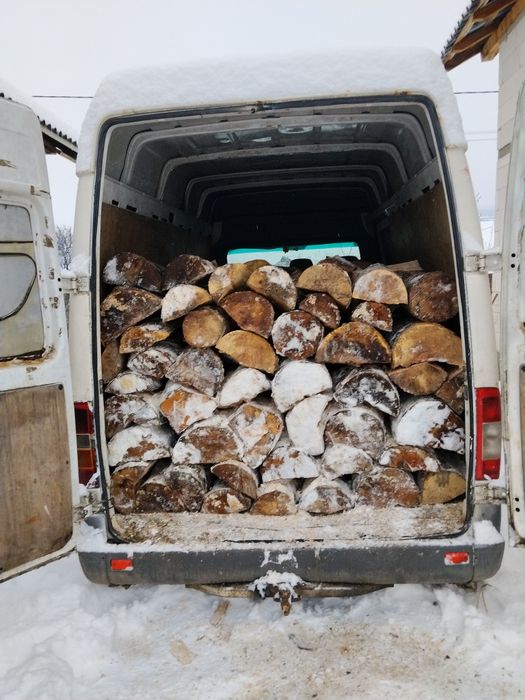 Vind lemne de foc esență tare fag