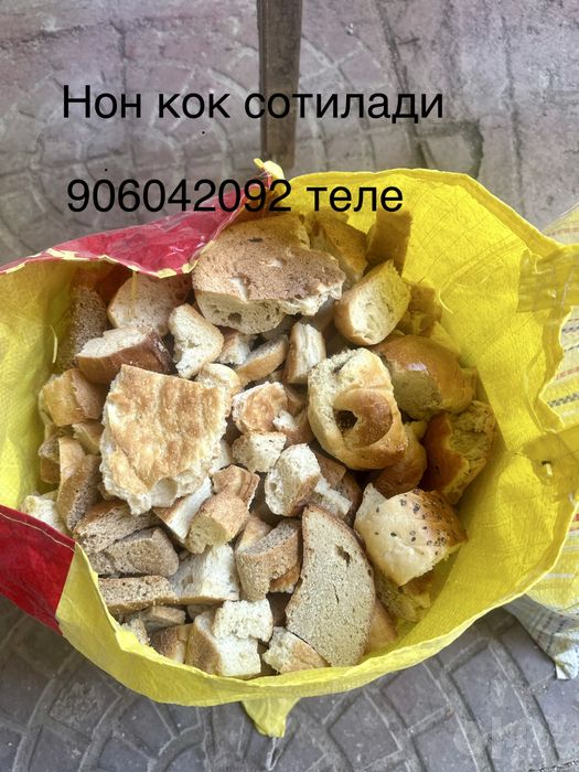 Нон кок сотилади