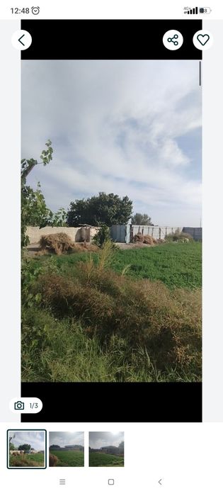 Уй сотилади 30сотих