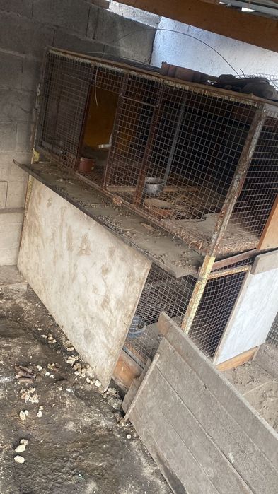 Клетки для кроликов