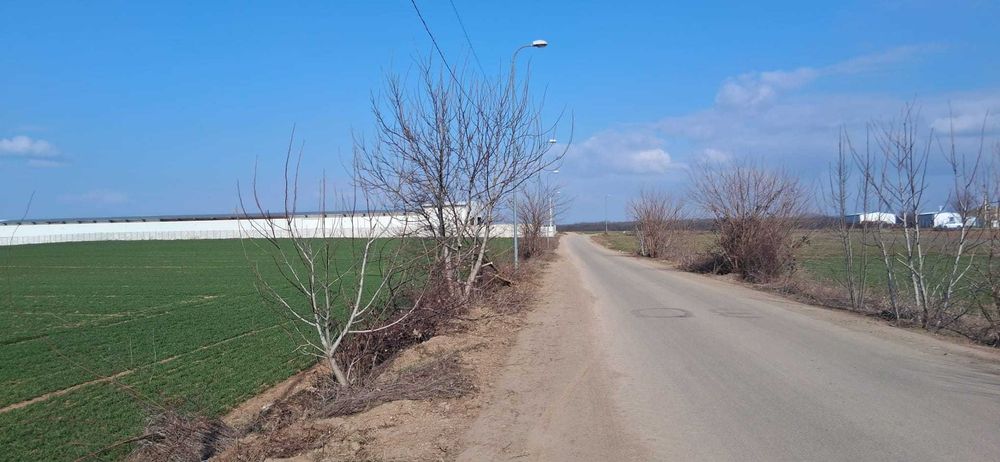 Teren intravilan 1.667 mp zona industriala , zona Targ Baicoi