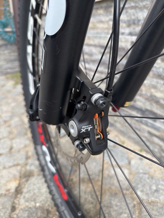 Планински твърдак Rose размер: 26/51см