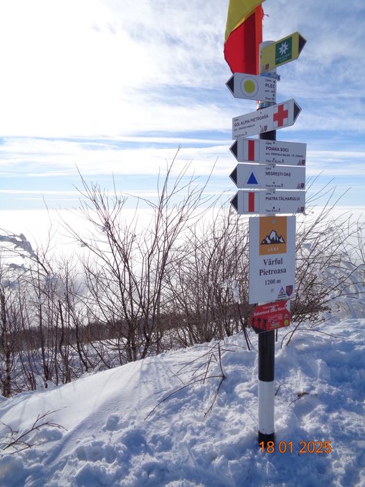 Sony Cyber-shot DSC-W830