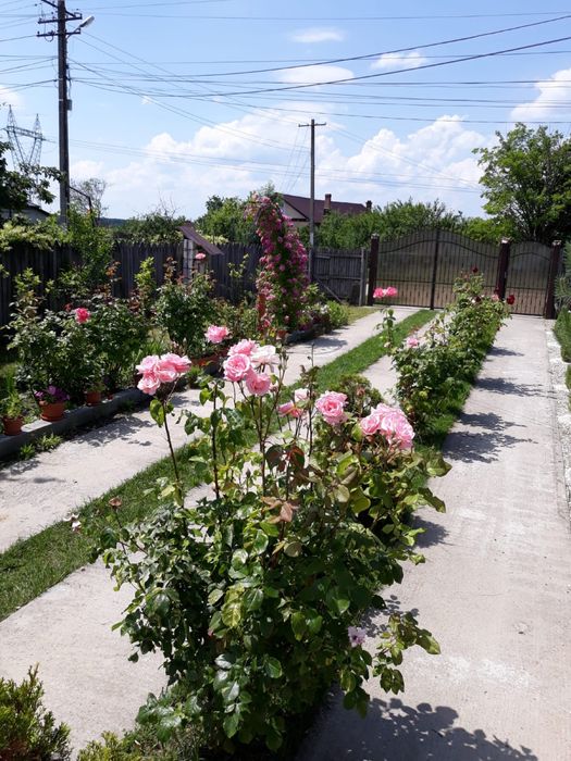 Okazie 2 case plus 6000mp teren