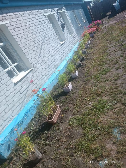 Продам дом в хорошем состоянии